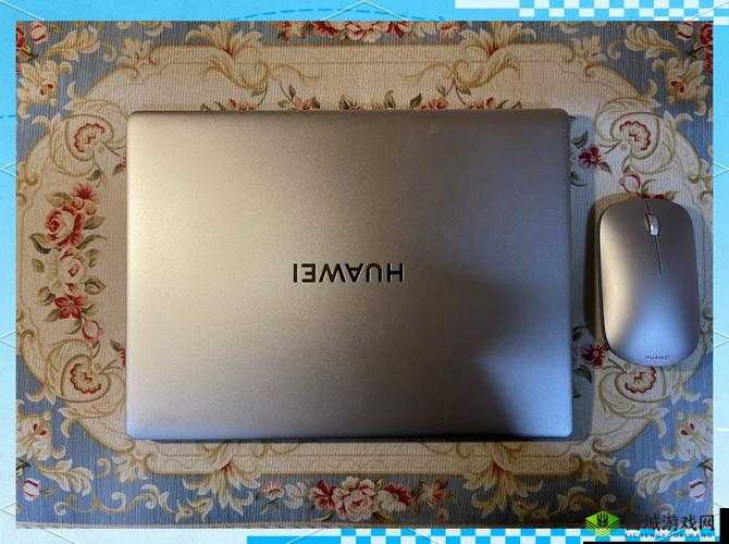 XXXXL19D18 价格对比:探寻超值之选的秘密