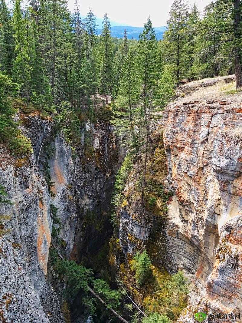 BNДEO 法国:探索未知的奇幻之旅