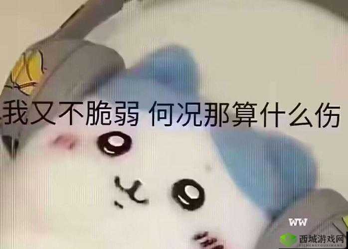 我还没用力你怎么就倒下了:关于你太脆弱的思考