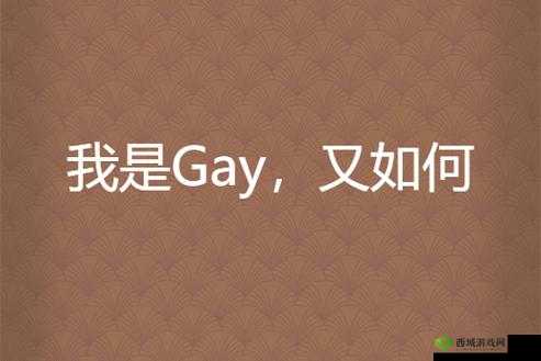 关于 gaysexchina 的深入探讨与相关内容呈现
