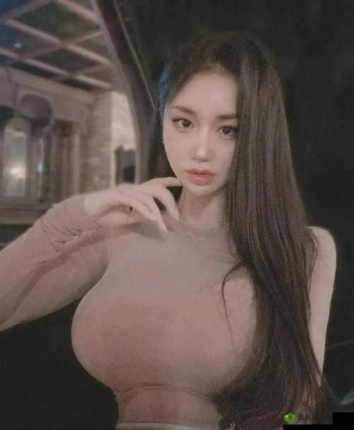 亚洲无码高清在线观看:畅享极致视觉盛宴