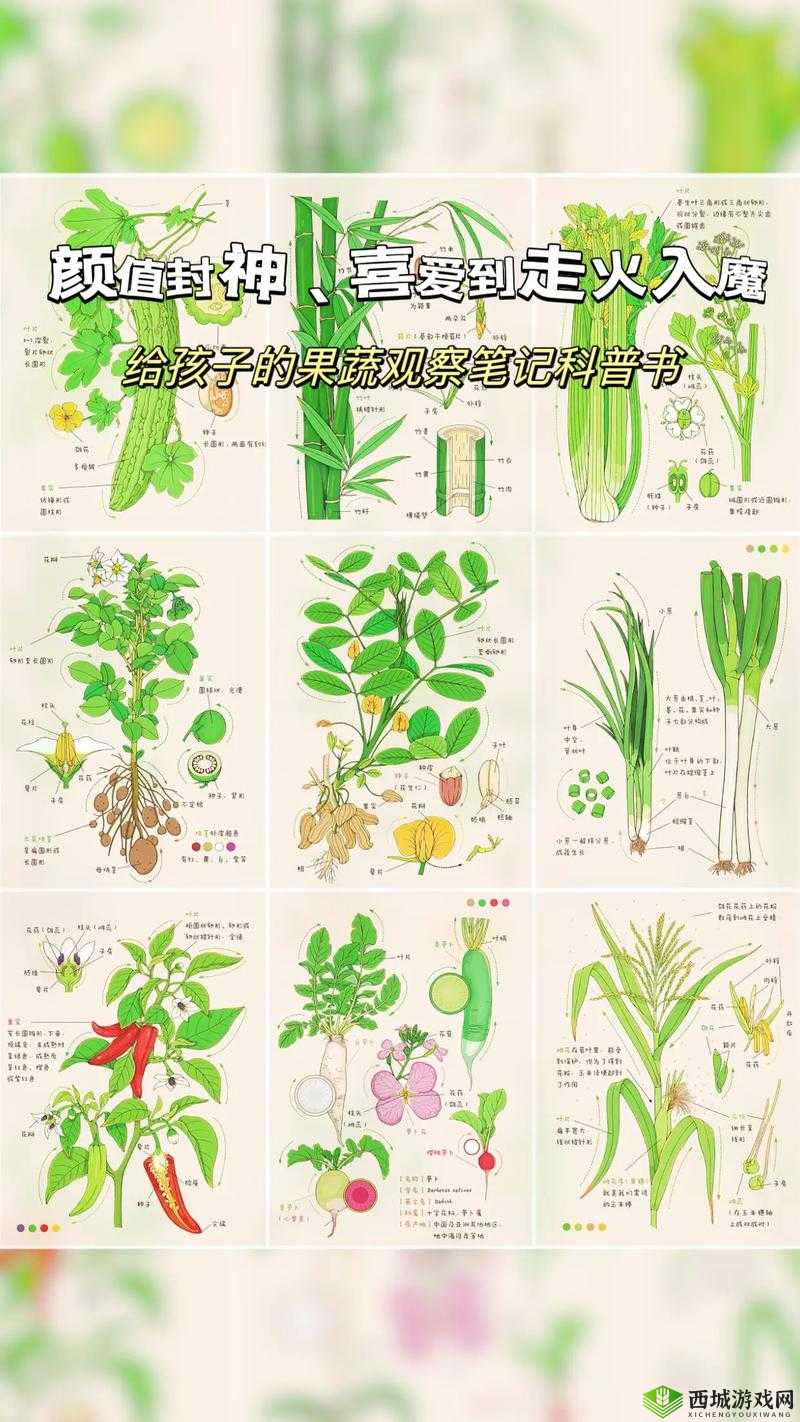 奶块雨栗果种子合成方法与联结种植技巧