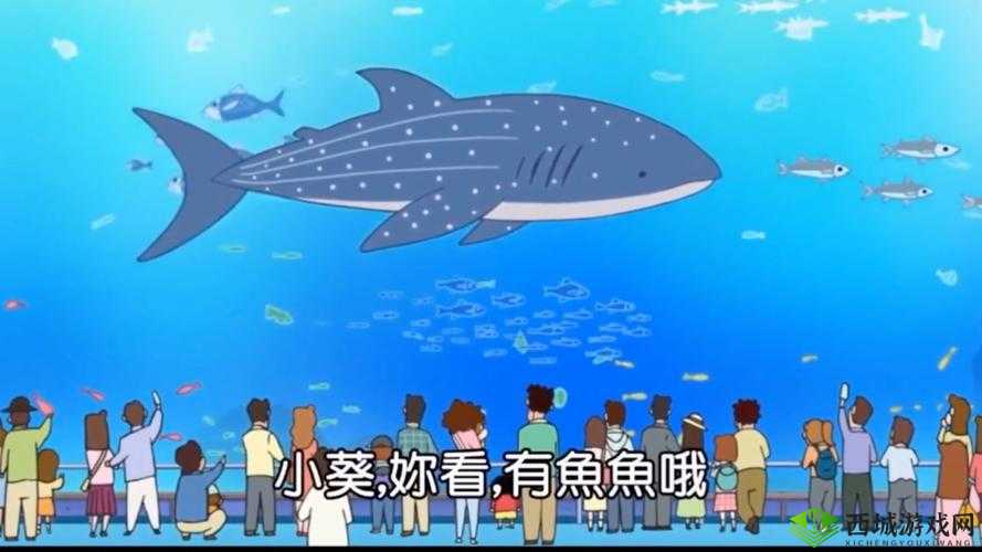 海葵鱼的魅力与垂钓之旅