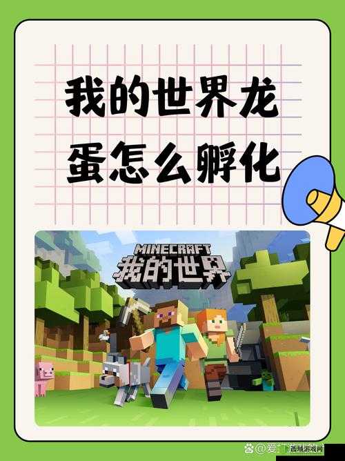 我的世界,解锁龙驯服与喂食的奇幻之旅