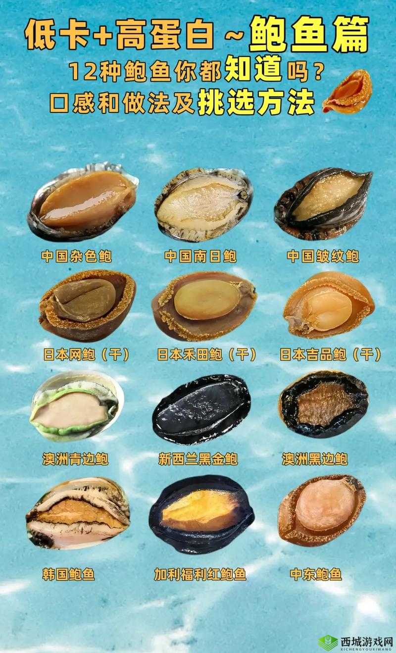 除了鲜鲍,大多数鲍鱼都很便宜,一般人都吃得起