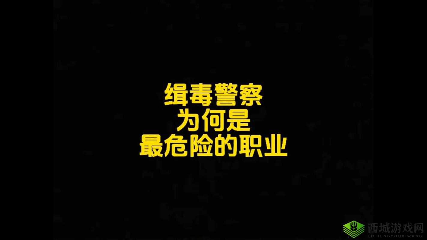 哪里有张警官落地窗视频:探寻背后的神秘与真相