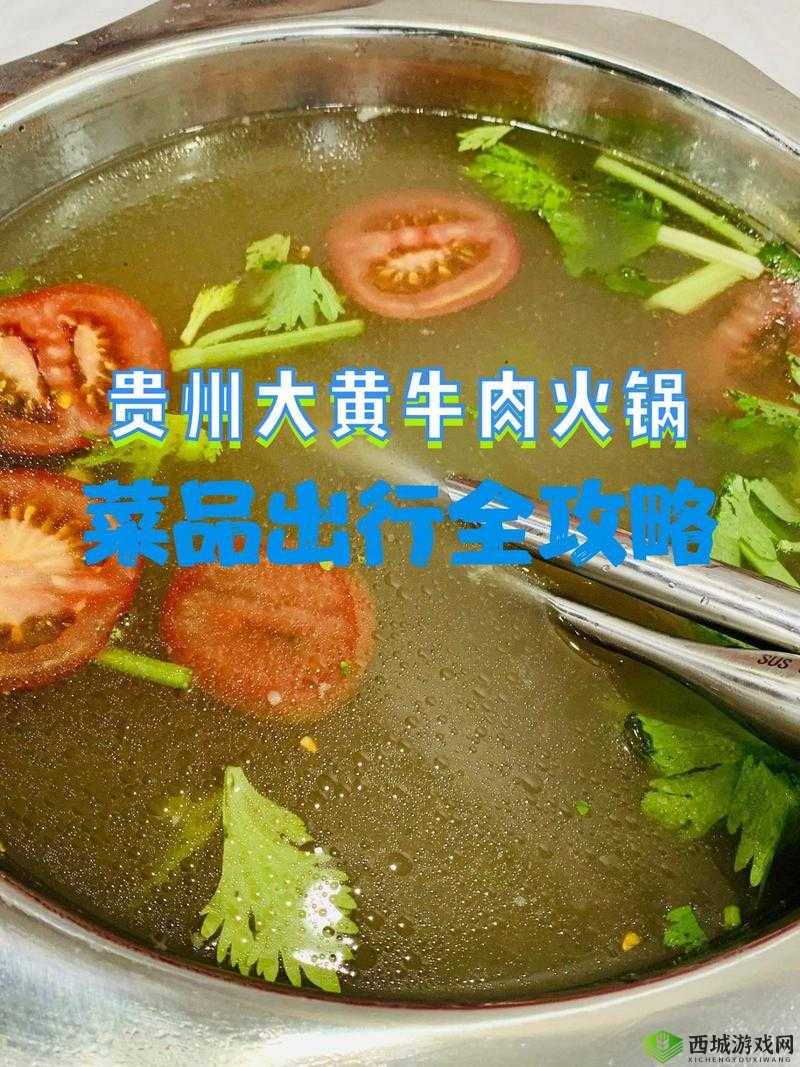 奶块生牛肉获取秘籍,解锁烤牛肉的美味之旅