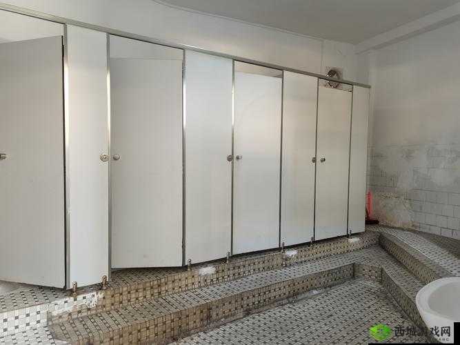 高清女厕:打造舒适便捷的女性专属如厕空间