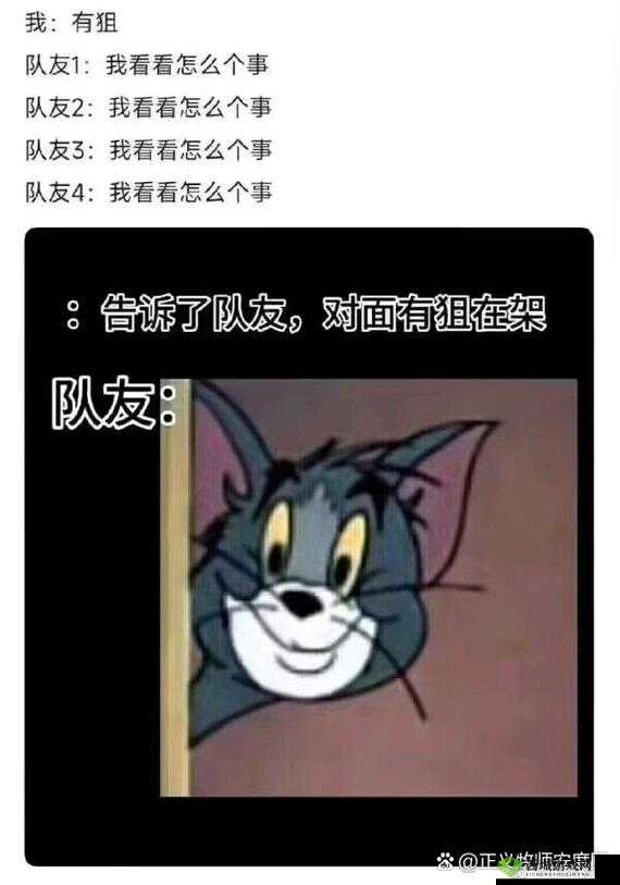 你的队友属于哪种，盘点光荣使命中的队友