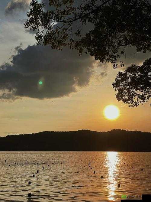 马强和苏玥幸福一生-携手走过风雨共赏世间美景