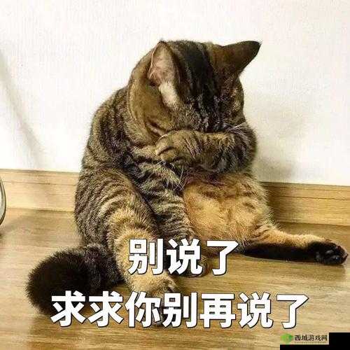 求你别再深了,我受不了了