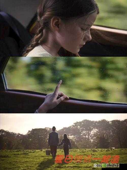 樱花电影大全免费观看:涵盖众多精彩影片的宝库