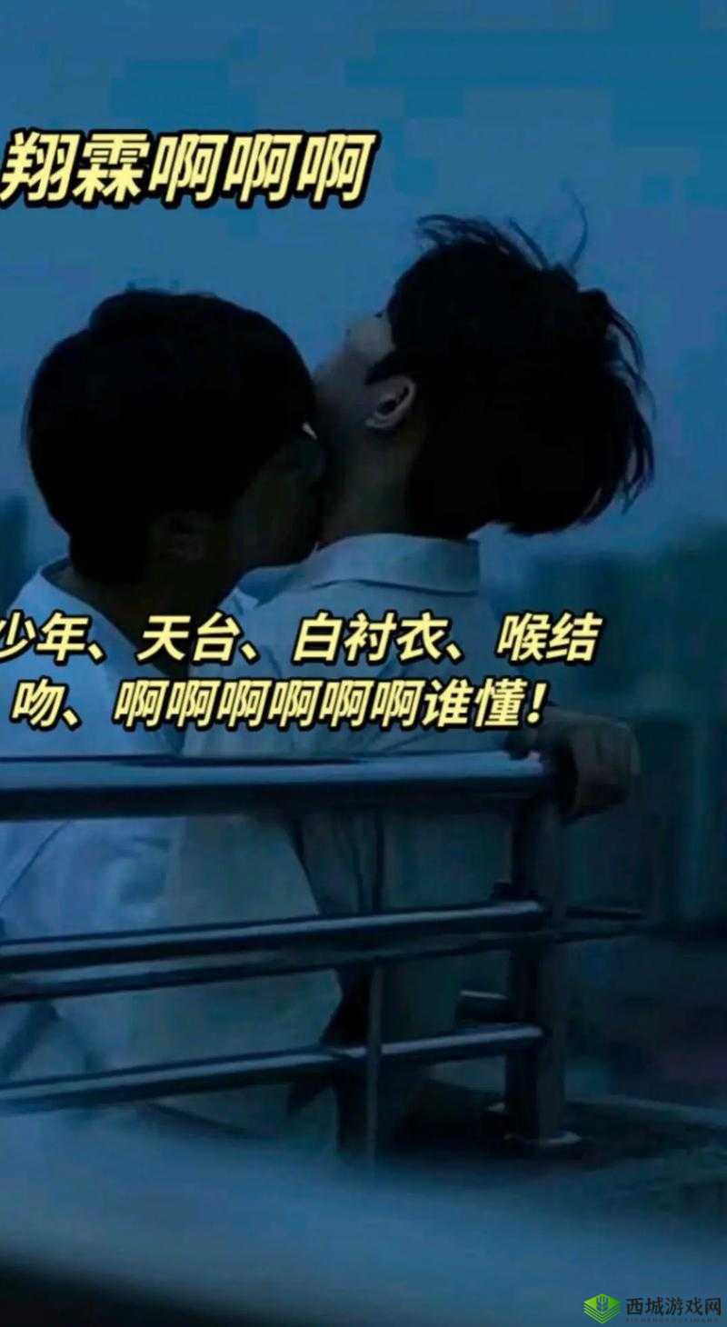 嗯~用力啊~嗯~c 我~翔霖:甜蜜的呻吟与激情的碰撞