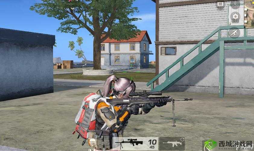 荒野行动野外打法技巧,武器选择与战术运用