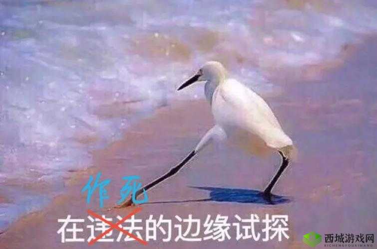 混乱家庭派对:道德与伦理的边缘试探