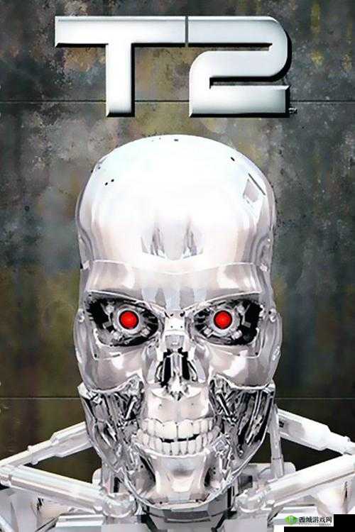 终结者2审判日手机配置要求详解,什么手机才能玩及其资源管理策略