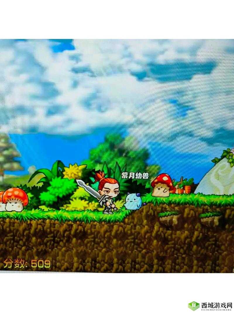 奇迹的轨迹，探索时代变迁中的勇者之路