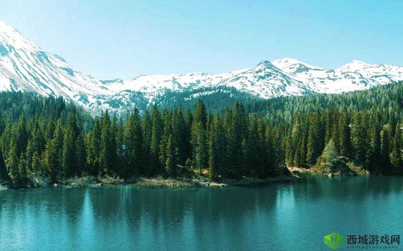 丰裕纵满 2588 高清壁纸:展现极致视觉盛宴之美