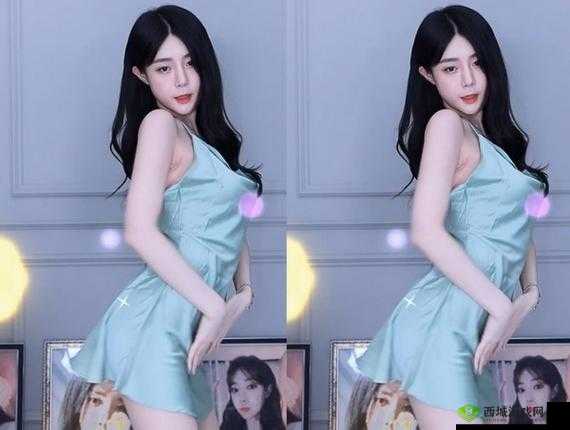 成品网站 W灬源码三叶草在线:带你领略不一样的世界