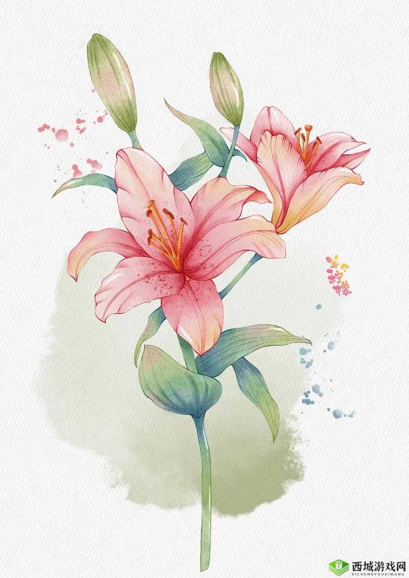 桃源深处有人家百合花怎么配色:色彩搭配的奥秘