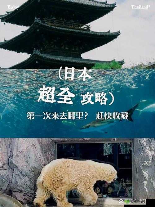 日本畜禽 CORPORATION:探寻日本畜牧业的奥秘