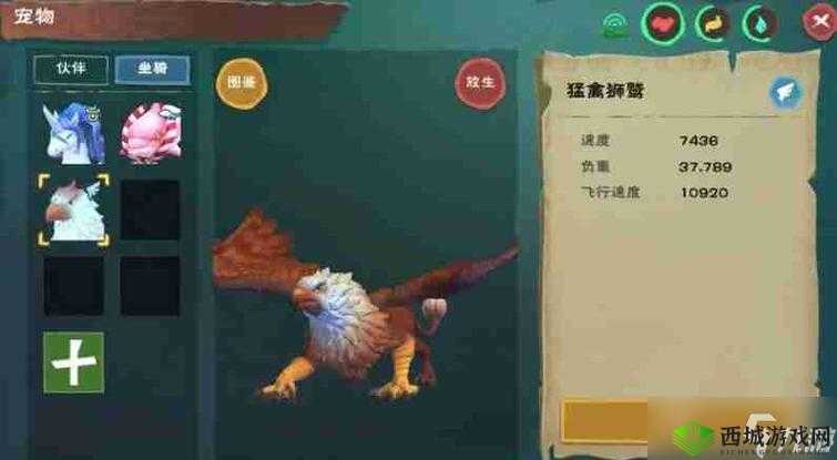 创造与魔法御剑飞行技巧详解，怎么飞