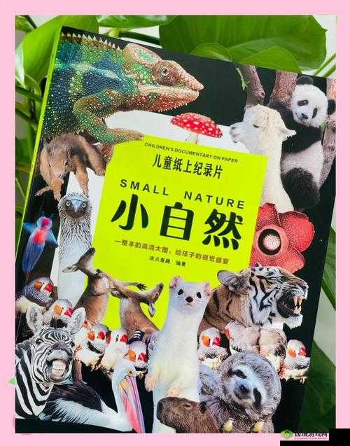 成品短视频:探索神奇自然世界的精彩之旅