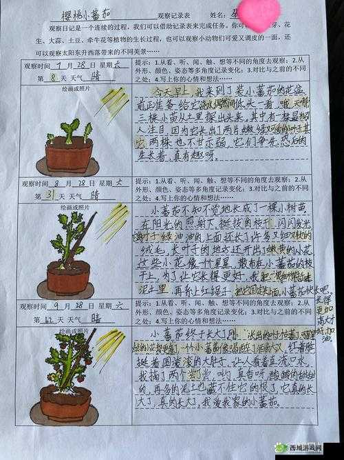 成长的秘密毛毛葆葆观察记录:探寻成长过程中的点点滴滴