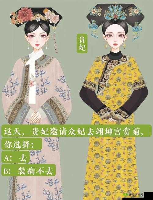 清宫无间斗,后宫培养与策略深度解析