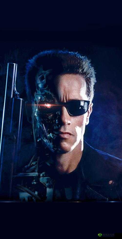 终结者2技巧分享,怎么提高成功率在资源管理中的重要性及策略