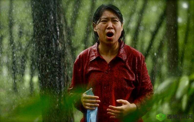 樱桃电视剧西瓜视频在线观看:随时随地享受精彩剧集