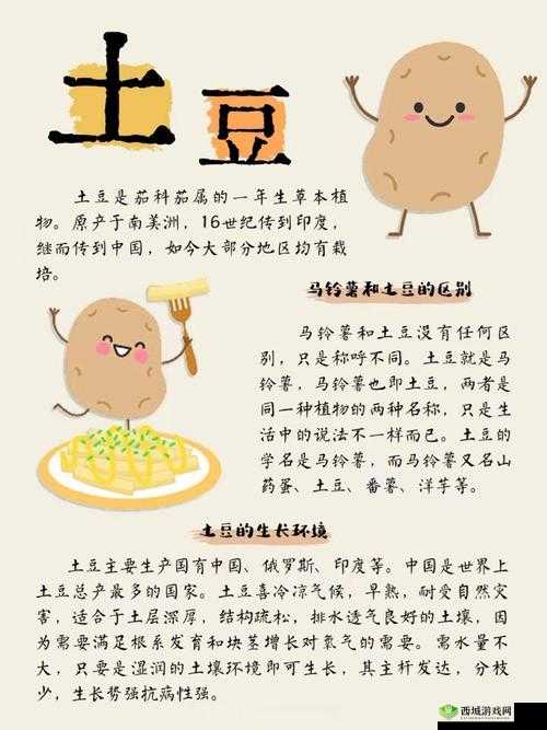 探索奶块土豆的奇妙世界,获取方法与美食创意