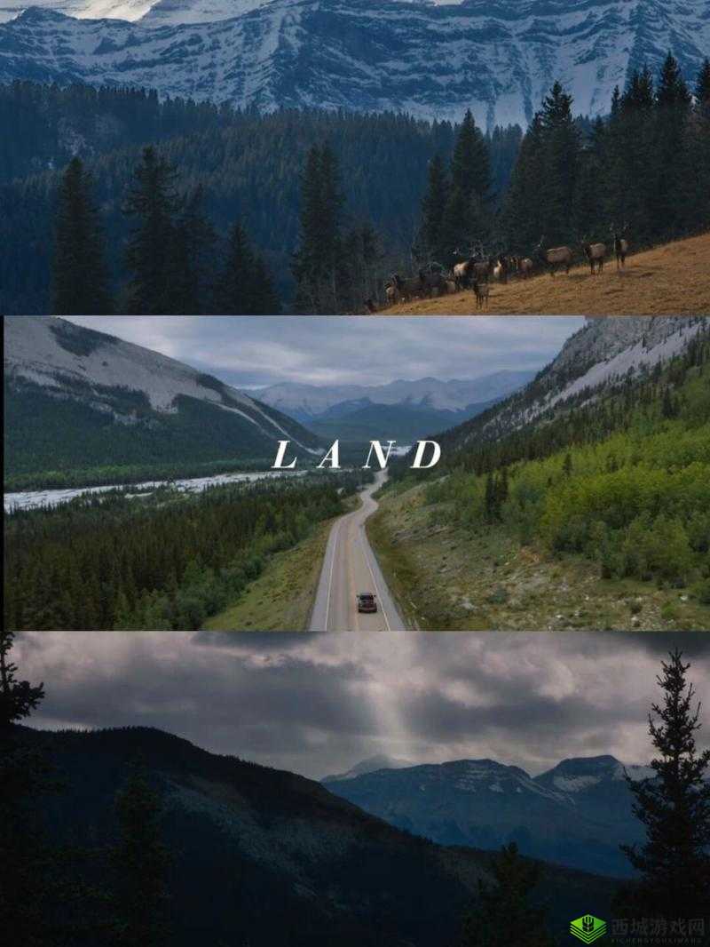 大地资源二在线观看免费高清影视:畅享视觉盛宴