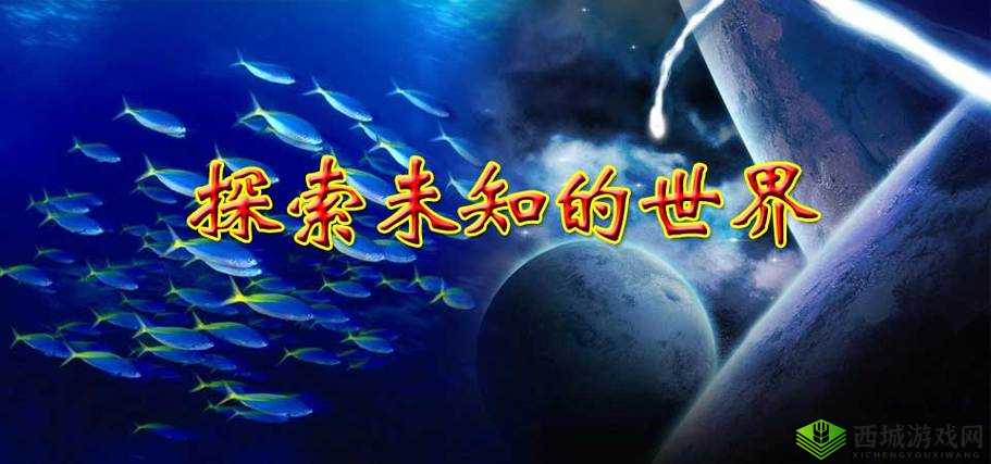 国精产品 WK5777 可在线播放:探索未知的世界