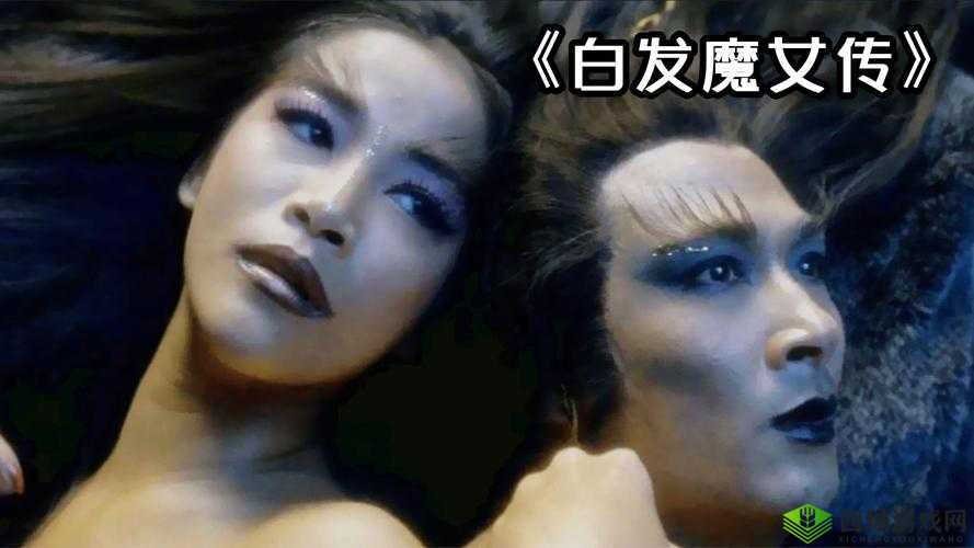 双胞胎姐妹齐上阵秘境探险说奇遇:揭开神秘之地的惊人面纱