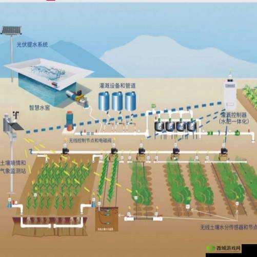 探索jy灌溉收集系统顾清在农业节水技术中的应用与效果分析