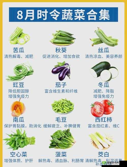 丝瓜秋葵草莓香蕉榴莲绿大全:探索这些健康水果与蔬菜的独特魅力与营养搭配