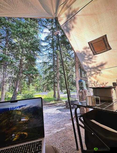 办公室突然撑帐篷怎么回事?探究背后原因与应对策略全解析