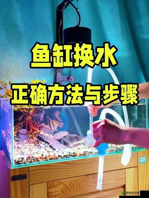 扣水的正确方法视频教程:详细步骤与实用技巧全解析,轻松掌握高效扣水技能