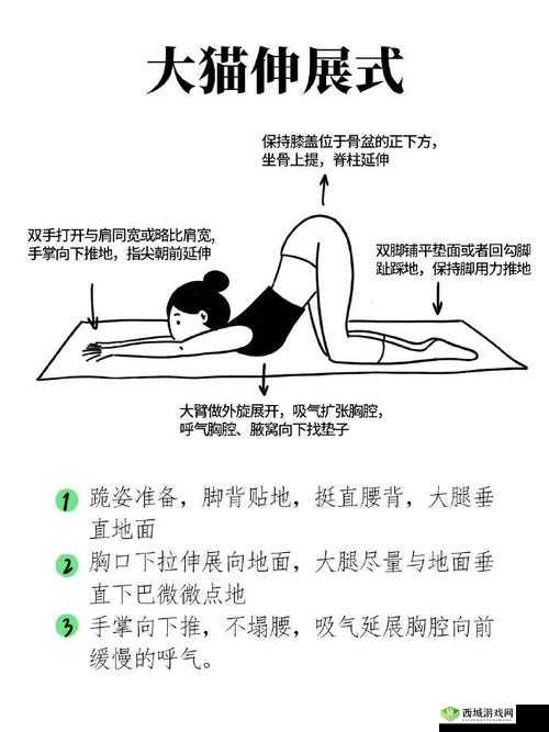 撅起来,自己报数,姜实践:探索独特健身方法的全面指南与效果分析