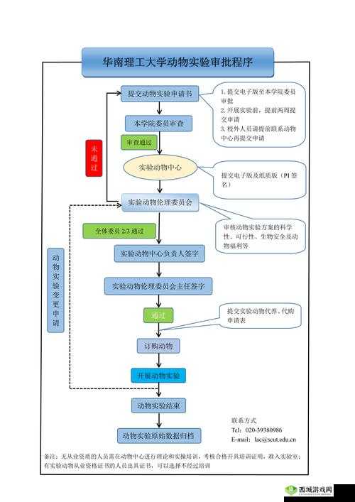 全面解析JANPENSEVISA：申请流程、所需材料及常见问题解答