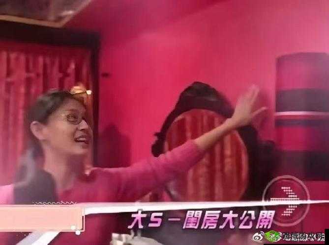 红番阁粉色视频引发热议,网友热议内容背后的故事与细节揭秘