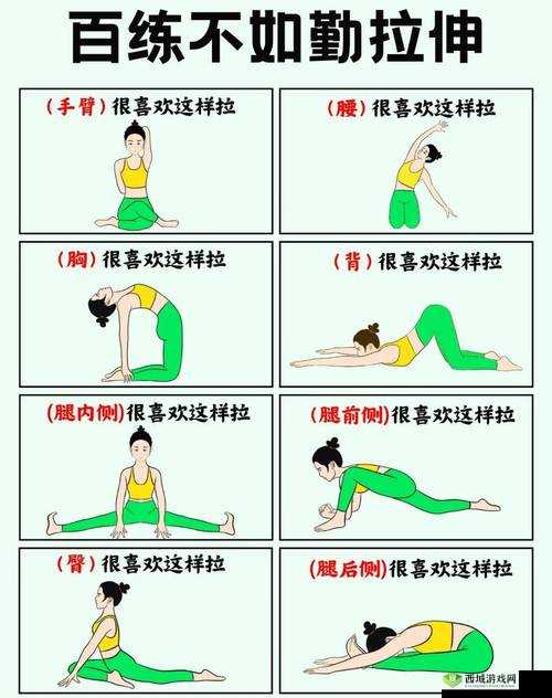 双腿跪着身体往后躺的健康益处：改善姿势与缓解压力的有效方法