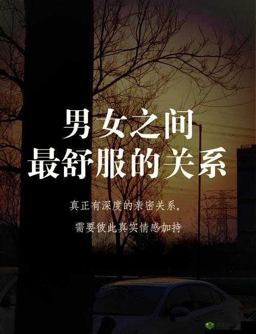 男女ⅩX:如何在不同关系中找到平衡与和谐?探索现代男女相处之道