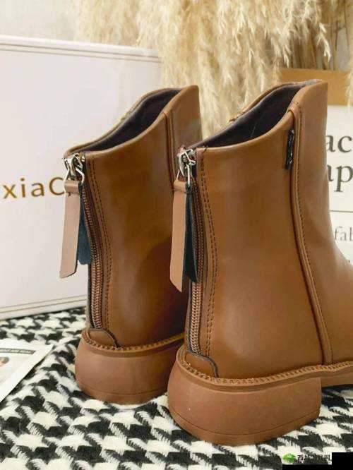 炼金术师的秘密工坊,打造魔法棕色皮靴