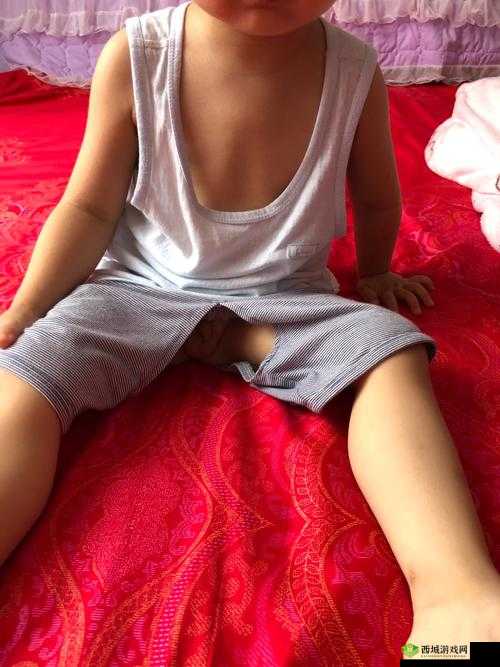 十八裸男晨勃露ji毛软件真实体验分享:用户反馈与使用指南详解