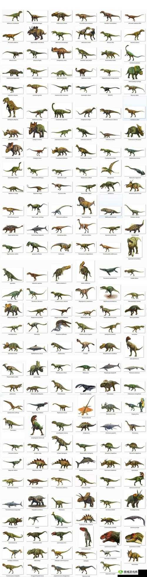 探索美国ZOOm动物仙踪林:揭秘独特生态与珍稀物种的奇妙世界