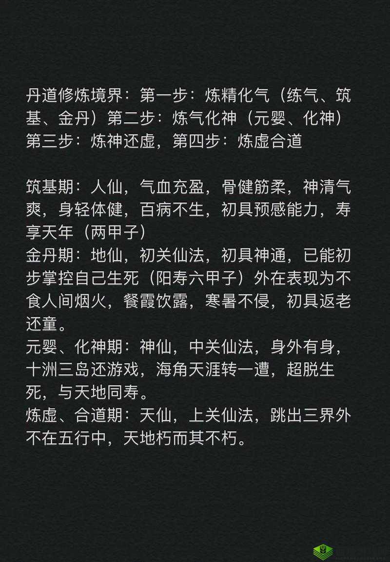 指尖修仙,昆仑结丹期的修行之旅