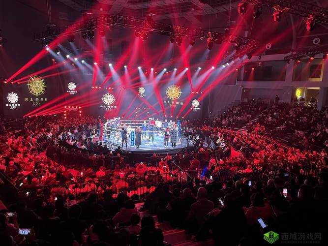 刀剑斗神传竞技场，荣耀与挑战的热血舞台