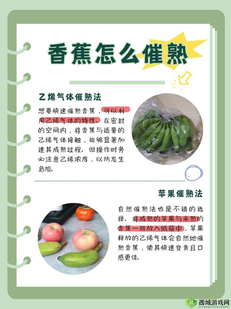 荒岛求生进化,香蕉食用方法与资源管理的重要性